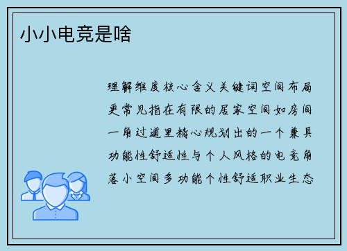 小小电竞是啥